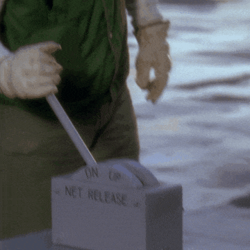 a person is holding a switch that says " net release "