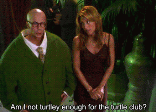 Master Of Disguise Turtle GIF - Master Of Disguise Turtle Hilarious GIFs