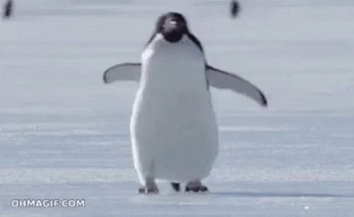 Penguin Happy GIF - Penguin Happy Walk GIFs
