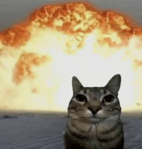 a cat is sitting in front of an explosion in the background .