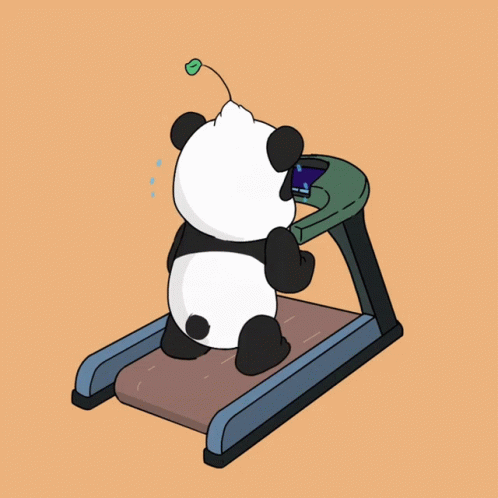 Treadmill Panda GIF - Treadmill Panda Pandoro GIFs