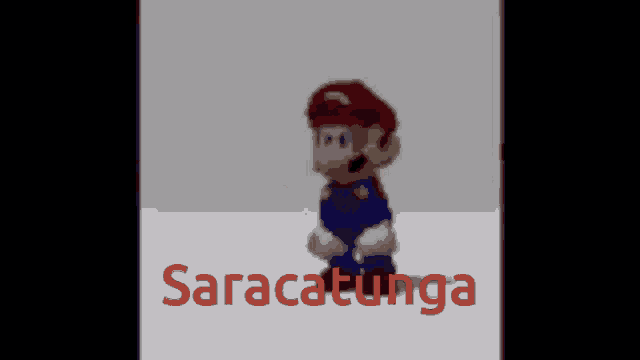 a pixelated image of a person with the name saracatunga