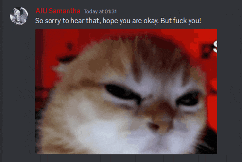 a screenshot of a discord conversation between au samantha and another person