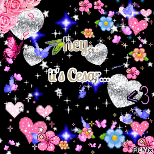 a picture that says hey it 's cesar with hearts and butterflies