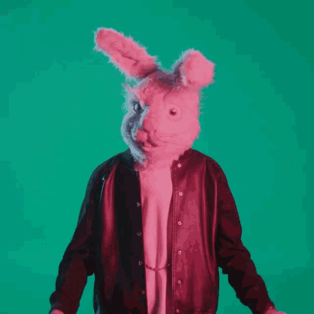 a man wearing a rabbit mask and a leather jacket