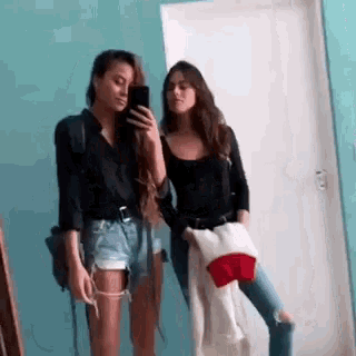 two women are standing next to each other taking a selfie in front of a mirror .
