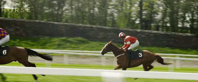 a jockey on a horse with the number 3 on the back