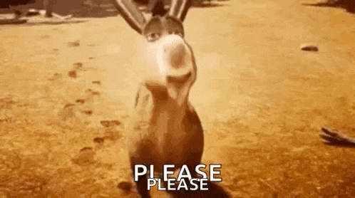 a donkey from shrek is standing on a dirt field and asking for a please .
