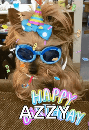 a dog wearing sunglasses and a party hat with the words happy azzyay on it