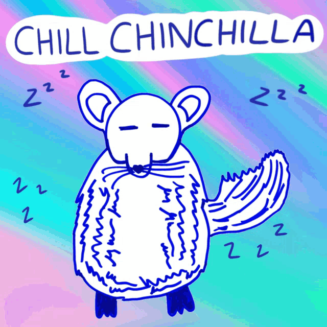 a drawing of a chinchilla sleeping with the words chill chinchilla above it