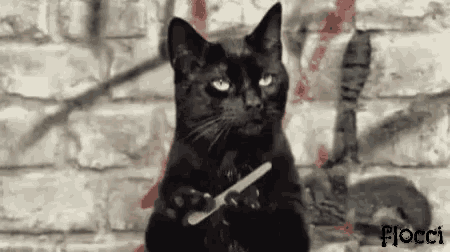 a black cat is holding a nail file between its paws .