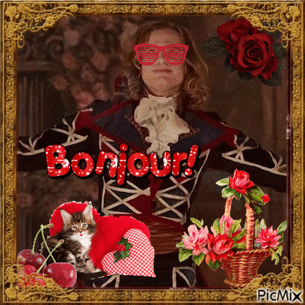 a picture of a man wearing sunglasses with the words bonjour written on it