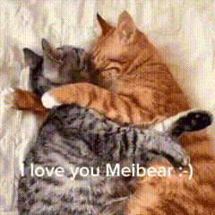 two cats hugging each other with the words " i love you meibear " above them