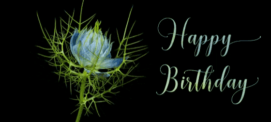 a birthday card with a blue flower and the words " happy birthday "