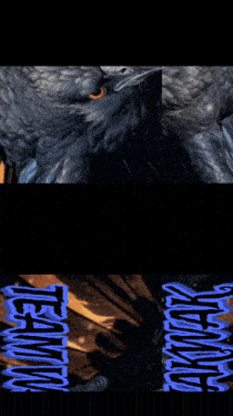 a picture of a black bird with the words team wakwak written below it