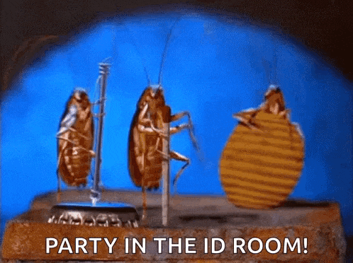 a group of cockroaches are standing next to each other on a brick .