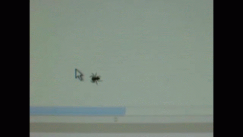 Spider Cursor Chase GIF - Spider Cursor Chase GIFs