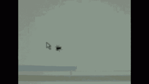 two spiders are crawling on a computer screen