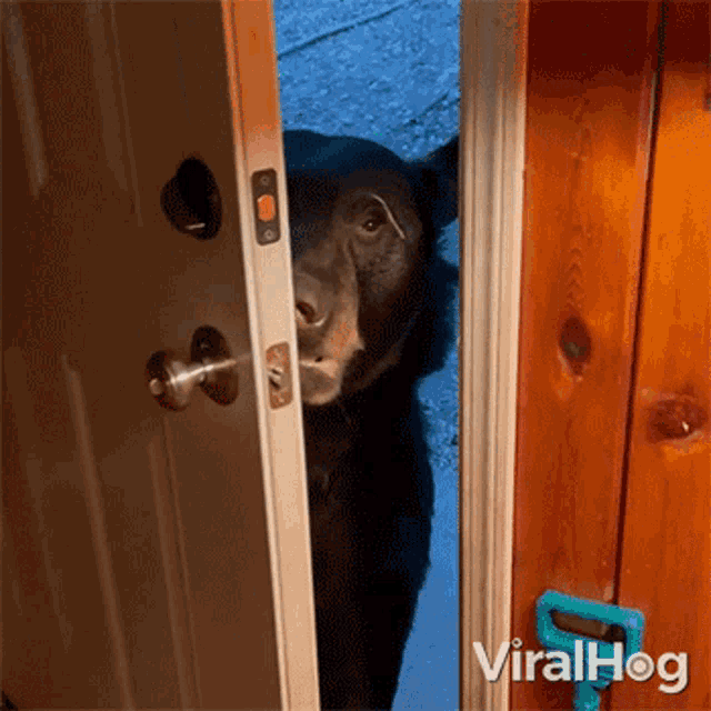 Closing The Door Viralhog GIF - Closing The Door Viralhog Goodbye GIFs