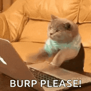 a cat is sitting in front of a laptop computer with the words `` burp please '' written on the screen .