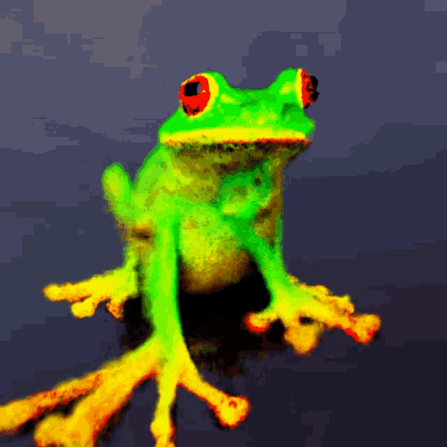 Frog Frogs GIF - Frog Frogs Most Frog Like Frog GIFs