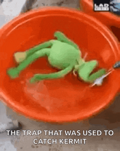 a stuffed kermit frog is laying in a red bowl of water .