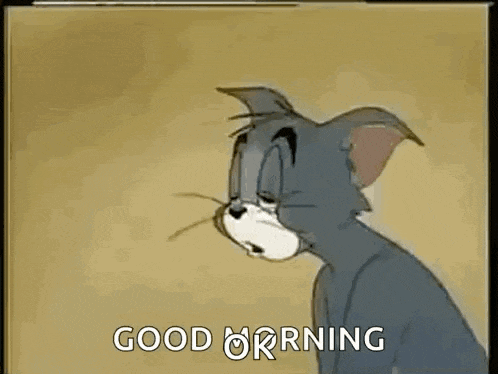 a cartoon cat with a sad look on his face is saying `` good morning '' .
