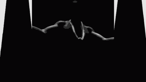 a black and white photo of a man with a necklace around his neck .