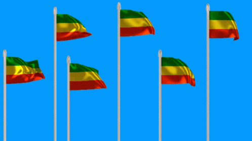 Ethio Flag Ethiopia GIF - Ethio Flag Ethiopia Ethio Love GIFs