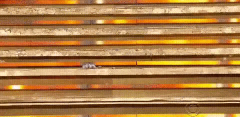 Falling Down Stairs GIF - Fail Tumble Slapstick GIFs