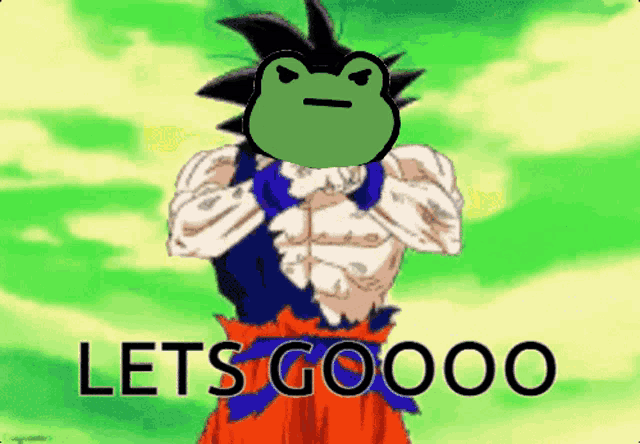 a cartoon of goku with a frog on his head and the words let 's goooo on the bottom