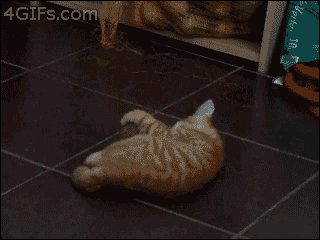 a pixelated image of a cat with the website 4gifs.com in the upper right corner