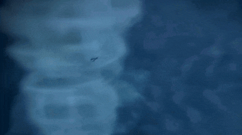a blue and white airplane is flying in the sky .