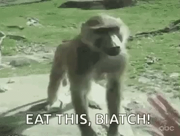 Baboon Eat Me GIF - Baboon Eat Me Bite Me GIFs