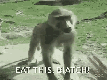 a baboon is standing next to a person with the words `` eat this , biatch '' written on it .