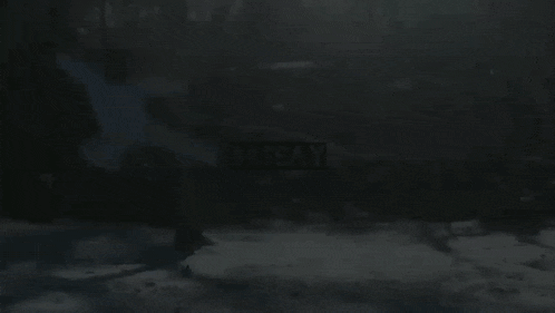 Drseay Coyotestyle GIF - Drseay Coyotestyle Snow GIFs