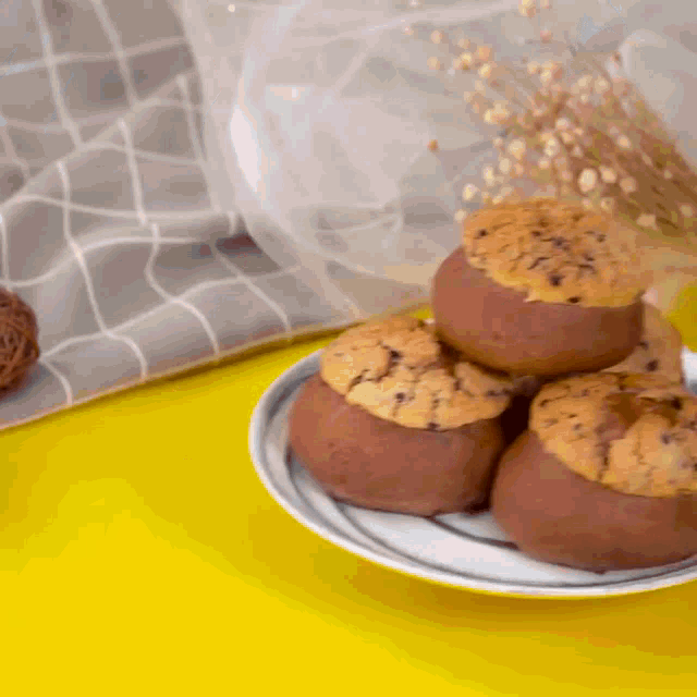 a stack of chocolate chip cookies on a plate