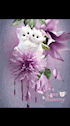 a couple of white cats are sitting on top of purple flowers .