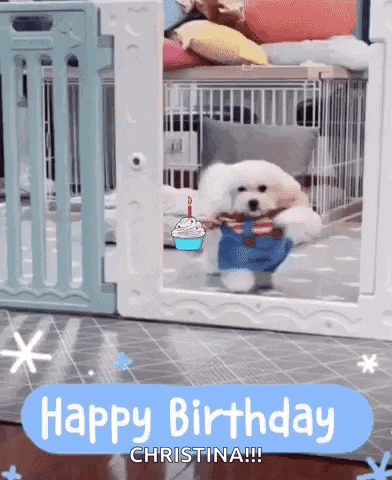 a small white dog is standing in a cage holding a cupcake and a birthday cake .