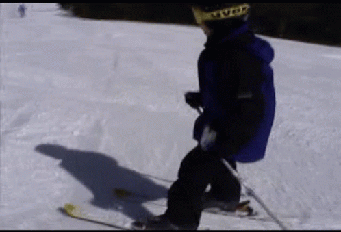 Toddler Ski GIF - Toddler Ski GIFs