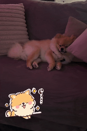 a dog laying on a purple couch with a cartoon drawing of a sheep