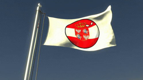 Angry_toslaw Toslaw Flag GIF - Angry_toslaw Toslaw Flag GIFs