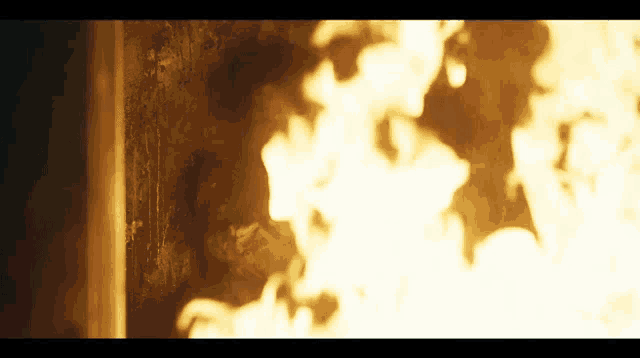 a person is standing in front of a wall of fire