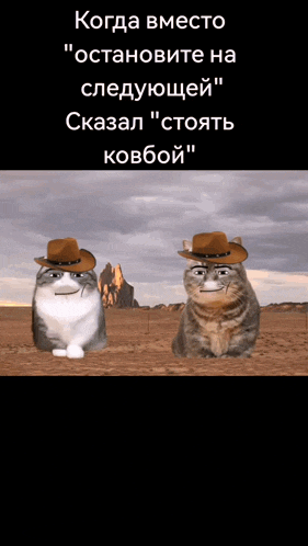two cats wearing cowboy hats are standing in front of a fireball ..