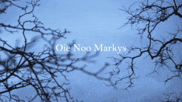 a tree with the words oie noo markys written on it