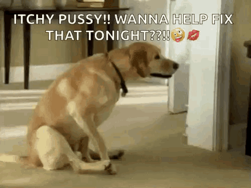 Buttworms Dragging GIF