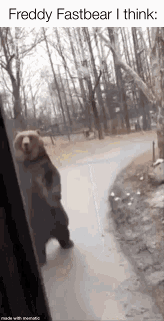 a bear is standing on its hind legs in front of a window looking out .