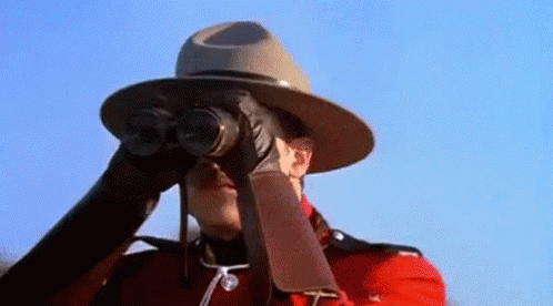 Unsure Of What You See GIF - Canada Brendan Fraser I See You GIFs