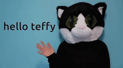 Teffy Hello Teffy GIF - Teffy Hello Teffy Hi GIFs