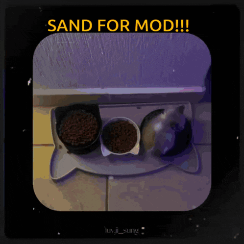 a picture of a cat food tray with the caption sand for mod